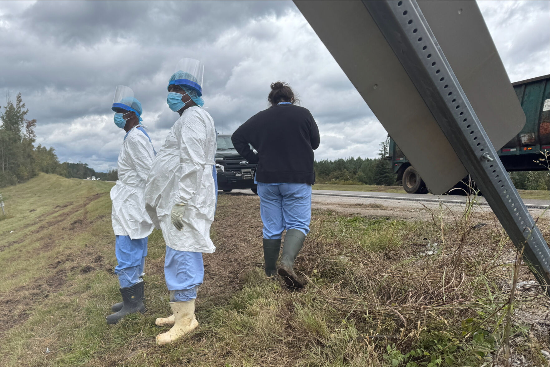 Search is on for 3 escaped monkeys after truck overturns on Mississippi highway